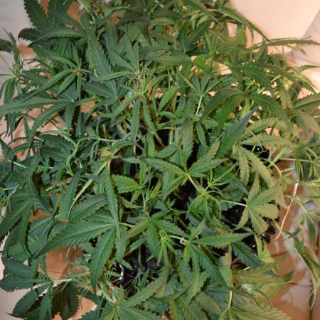 My first report 😊