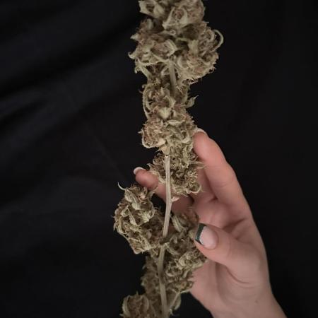 My RECORD is in COCO