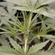 My first report 😊