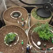 Chill Out OG - MrGrowIt - FabricPotScrog