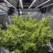 Hindu Kush outside