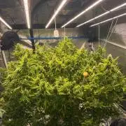 Hindu Kush outside