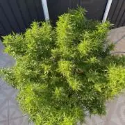 Hindu Kush outside
