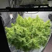 Hindu Kush outside