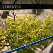 Hindu Kush outside