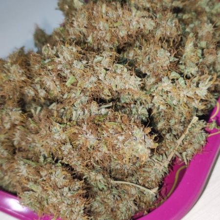 Grateful End OG