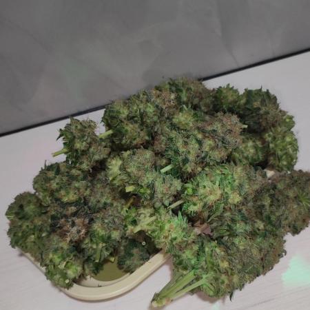 Zkittlez