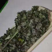 Pistachio #1