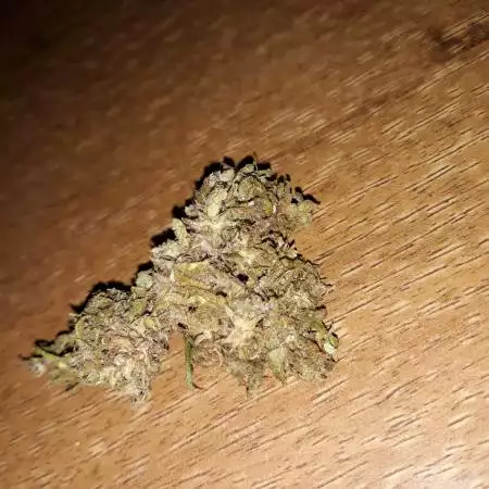 DP#1 Lemon Zkittle