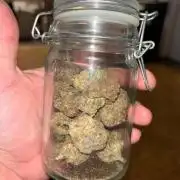 Frostbanger autos