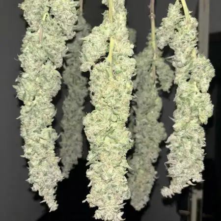 Permanent White Marker