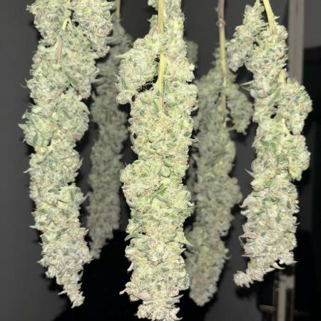 Permanent White Marker