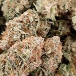 Black Jack