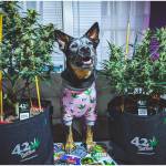zSKITTLES PARTY!  Fastbuds & MarsHydro