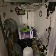 Planet of the Grapes