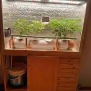Batekú micro grow