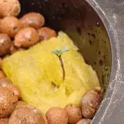 Neville's Rose auto Delicious Seeds