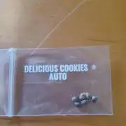 Delicious Cookies Delicious Seeds