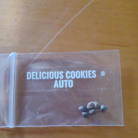Delicious Cookies Delicious Seeds