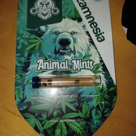 Animal Mintz