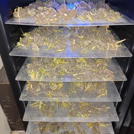 FBA2505 Fast Buds Tester