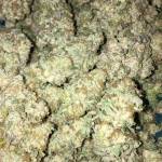 Purple Punch