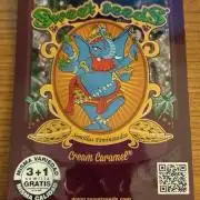 Cream Caramel - Sweet Seeds