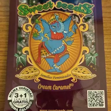 Cream Caramel - Sweet Seeds