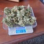 Auto Critical Growbarato
