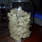 Cream mandarine