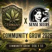 CCG SS Project Super Lemon  Cherry
