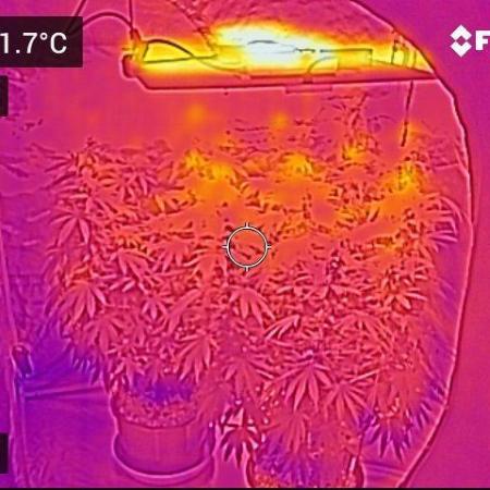 Gelatdos Jabb... My crossing.