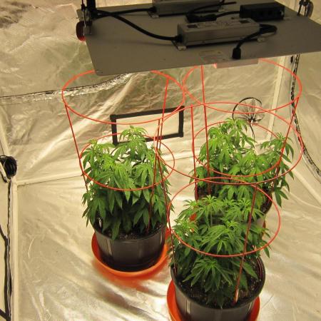 Gelatdos Jabb... My crossing.