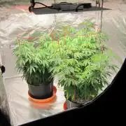 Gelatdos Jabb... My crossing.