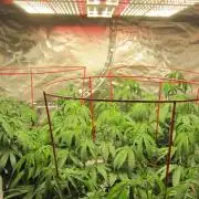 Gelatdos Jabb... My crossing.