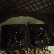 First trip