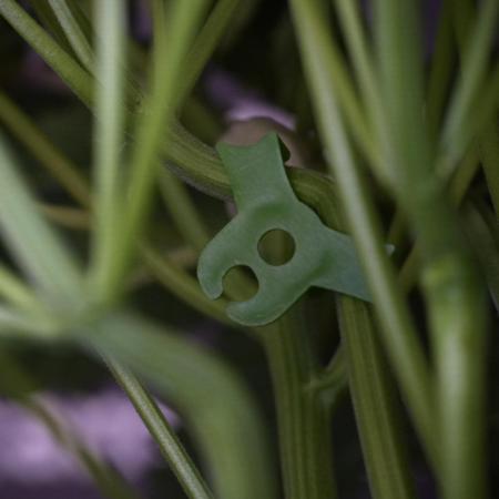 TicaL X Zamnesia-NectarDrip pack#268/750