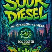 SOUR DIESEL-The Ascension of a Legend