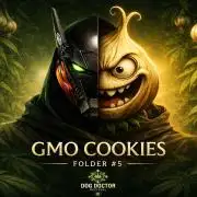 GMO Cookies Served with extra curiosity