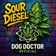 SOUR DIESEL-The Ascension of a Legend