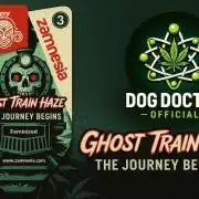Catching The Ghost Train Haze @ Zamnesia
