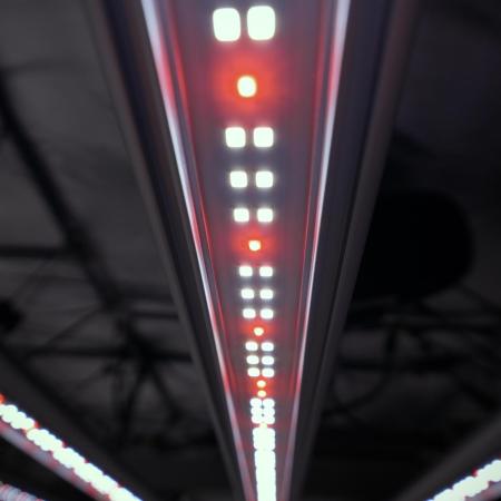 SOUR DIESEL-The Ascension of a Legend