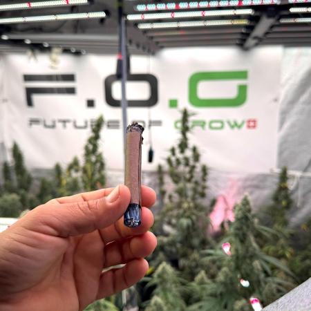 Pheno B God father OG By Zamnesia