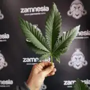 Skywalker OG Legends of the 12/12 Galaxy