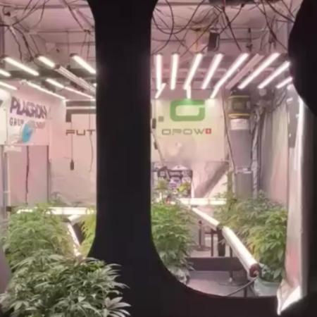 Lemon Cherry Gelato YumYum