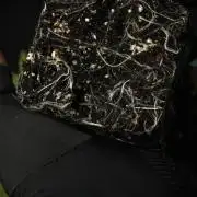 Pheno B Blue Waffle  F1 Zamnesia