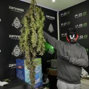 Catching The Ghost Train Haze @ Zamnesia