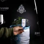 Amnesia Skunk The Zamnesia Way