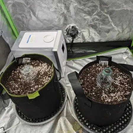 Gorilla Cookies & Gorilla Zkittlez