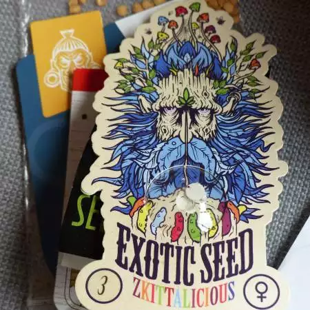 Exotic Seeds Zkittalicious